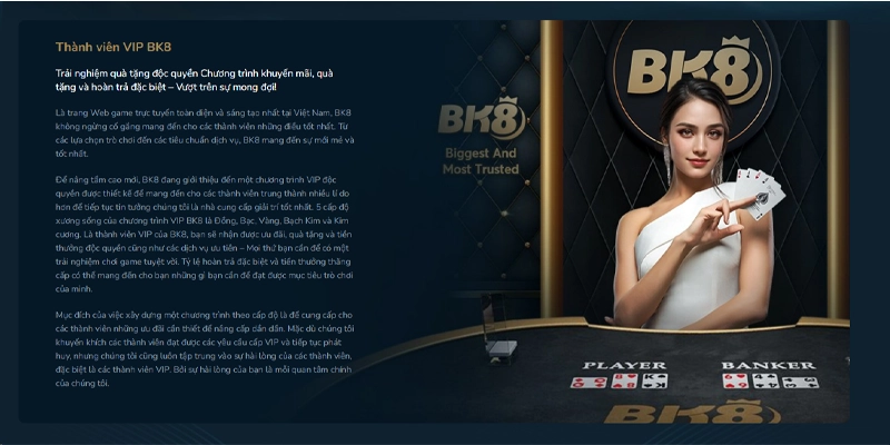 Đặc quyền VIP BK8 – Ưu đãi dành cho hội viên cao cấp